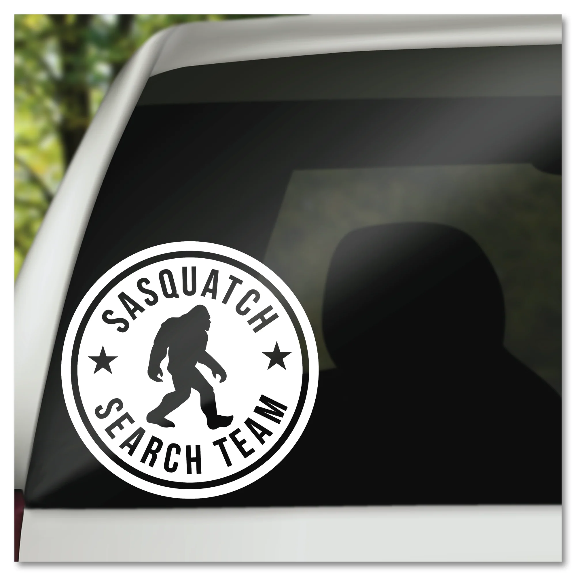 Vinyl Decals